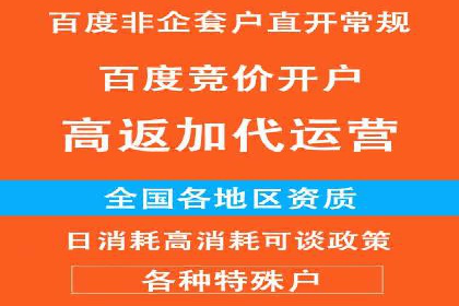 某电商平台的SEM关键词策略及成效分析